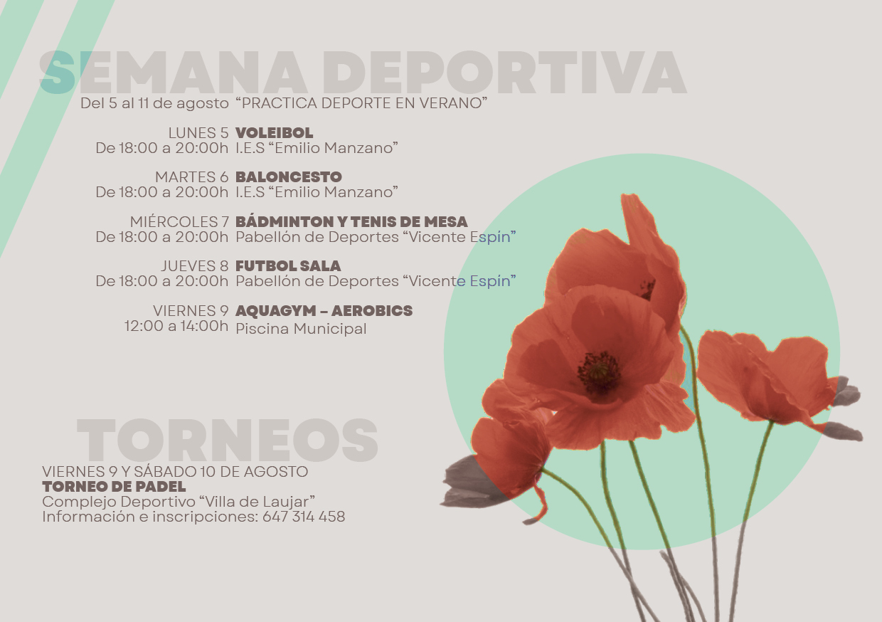 Ver imagen